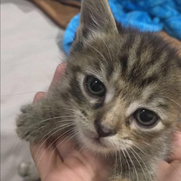 Meet your Posher, Andrew - Picture 1 of 1